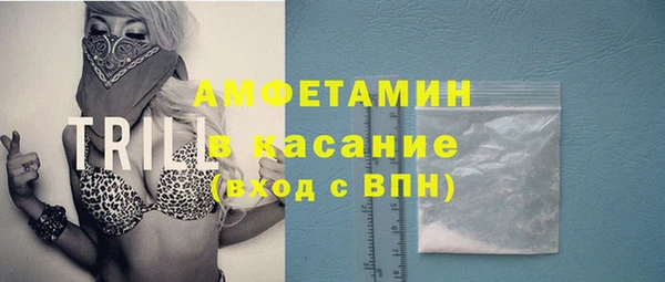 молекула духа Вязьма