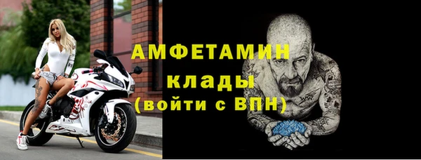 молекула духа Вязьма