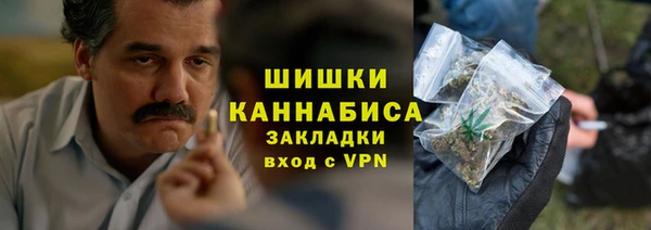 молекула духа Вязьма