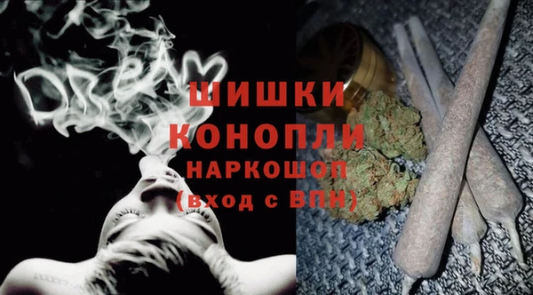 молекула духа Вязьма