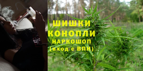 молекула духа Вязьма