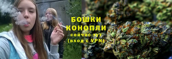 молекула духа Вязьма