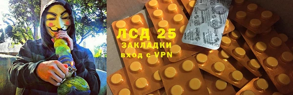 молекула духа Вязьма