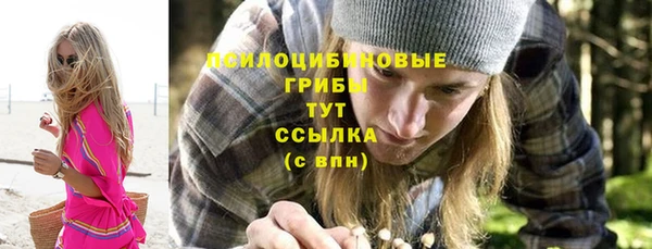 молекула духа Вязьма