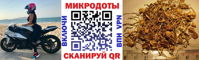 Галлюциногенные грибы мухоморы  darknet наркотические препараты  Карачев  наркошоп 